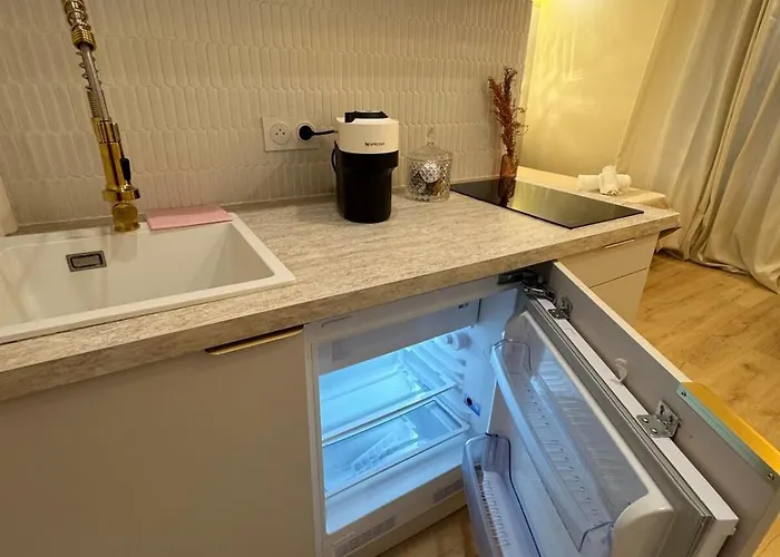 Apartman Elegant Between Train Station And Center Aix-les-Bains